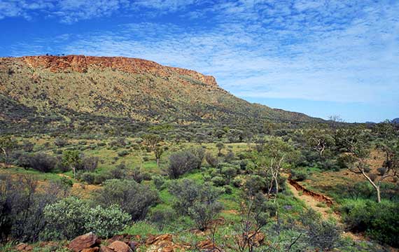 Alice Springs Desert Park, Northern Territory