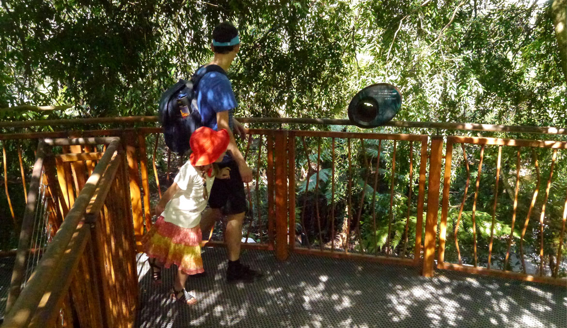 Lyrebird Aviary, Healesville Sanctuary