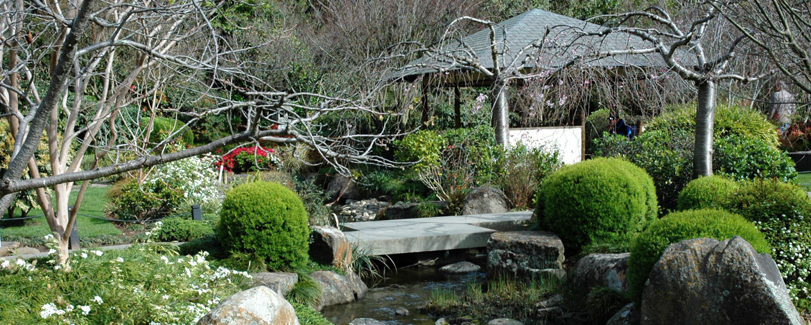 Japanese Gardens Melbourne Zoo